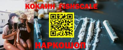 дмт Гай