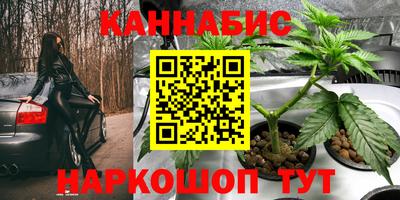 дмт Гай