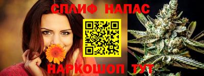 шишки Беслан