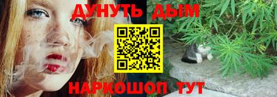 дмт Гай