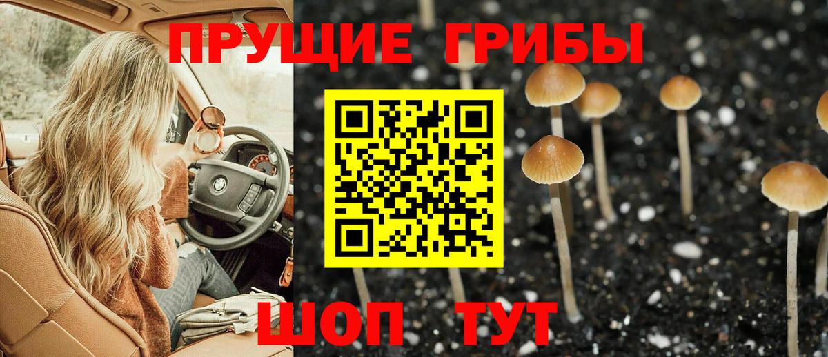 Псилоцибиновые грибы Magic Shrooms Коряжма