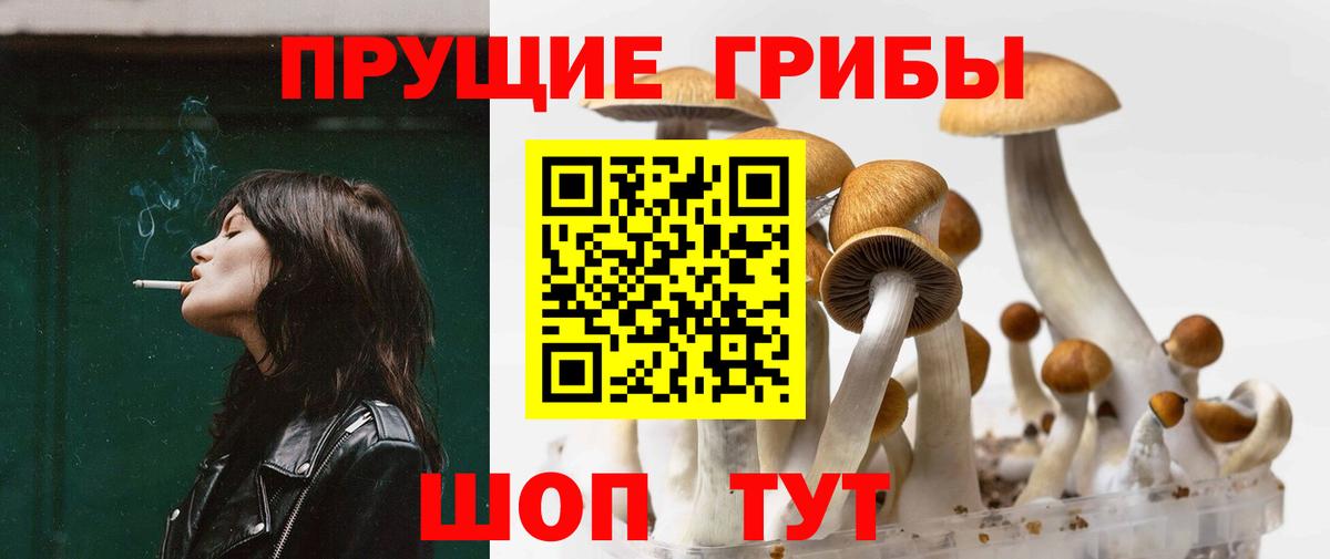 Псилоцибиновые грибы Psilocybine cubensis  Галлюциногенные грибы GOLDEN TEACHER  Вход с VPN  Коряжма 